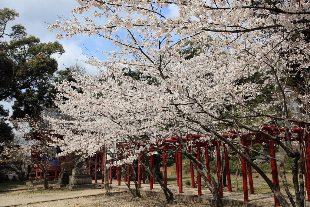 小城公園の写真25