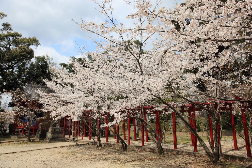 小城公園の写真1