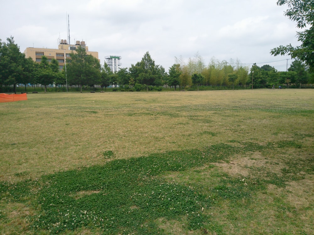 合併記念見沼公園の写真2