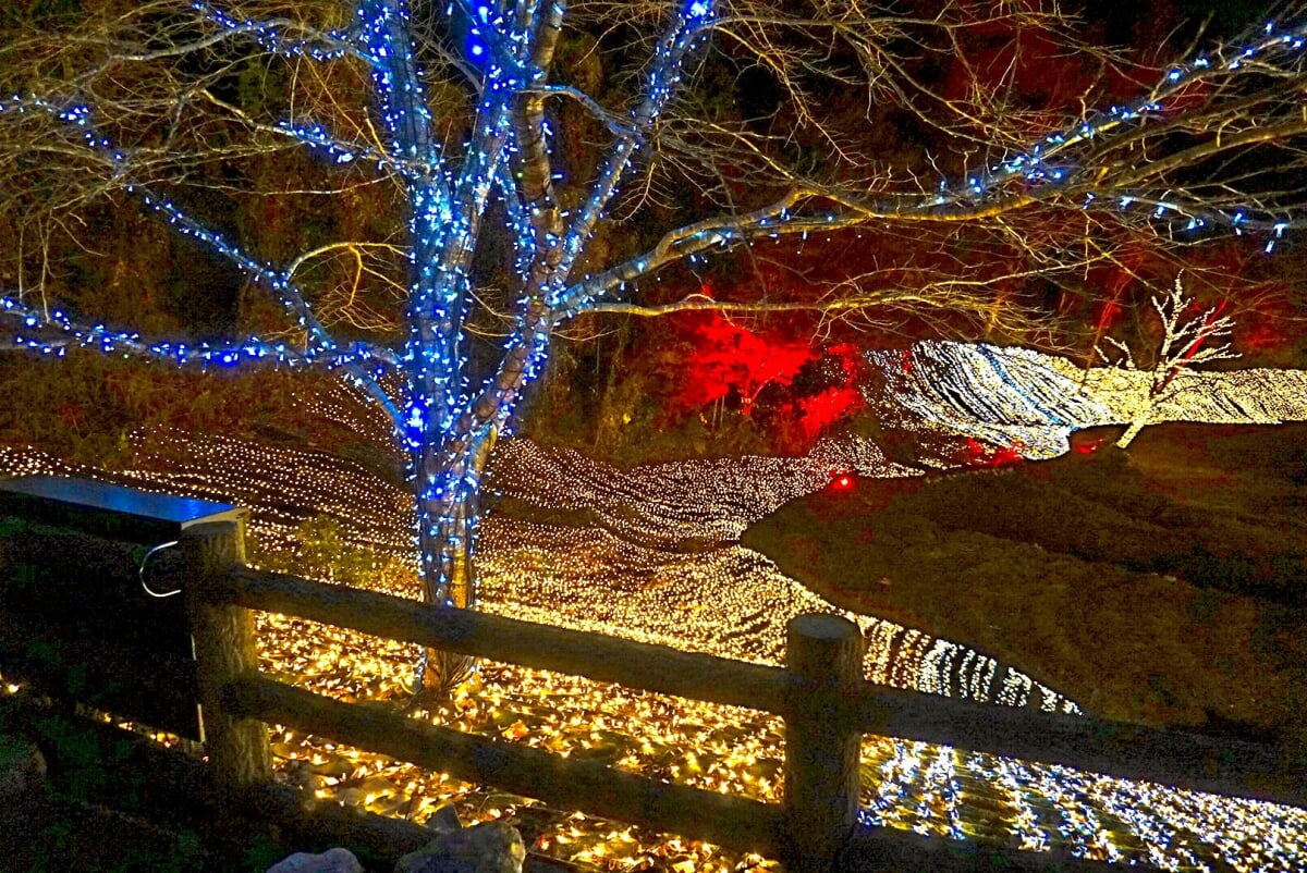 ネスタリゾート神戸の写真5