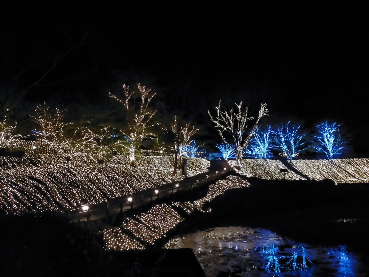 ネスタリゾート神戸の写真7