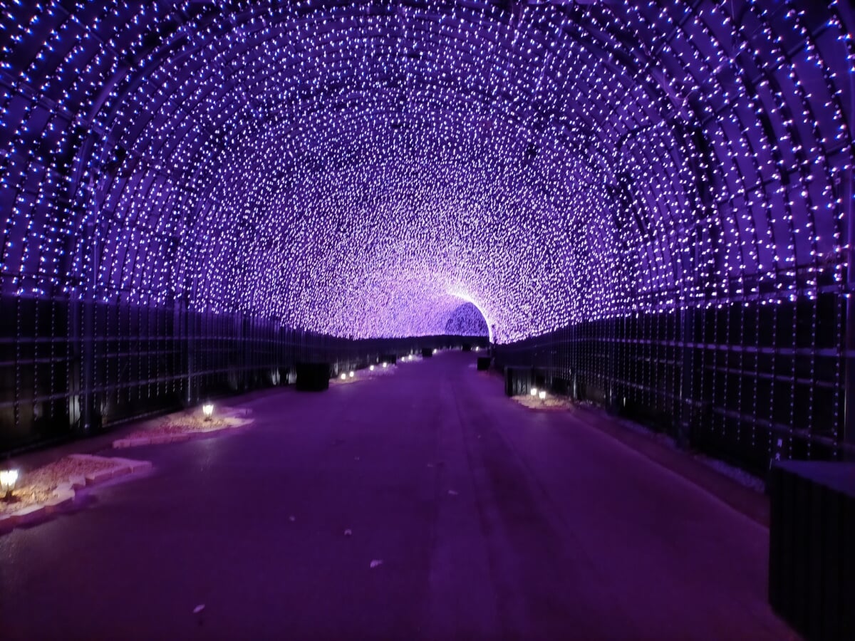 ネスタリゾート神戸の写真8