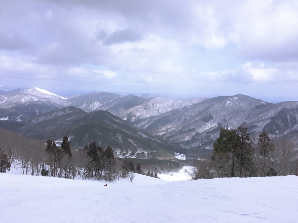 恐羅漢スノーパークの写真1