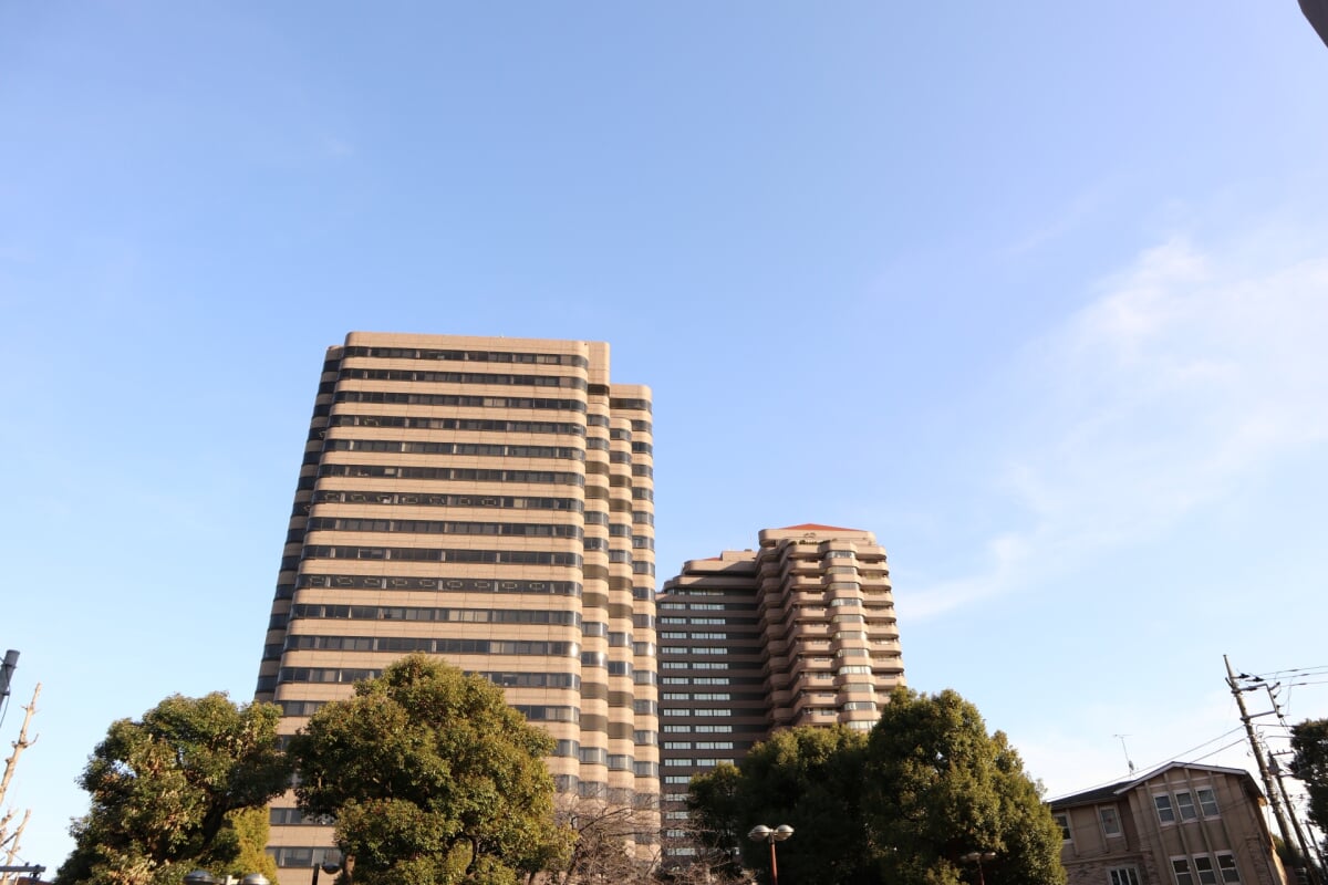 御殿山庭園の写真3