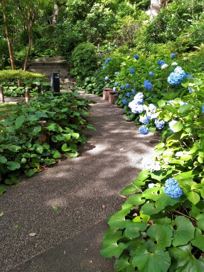 御殿山庭園の写真4