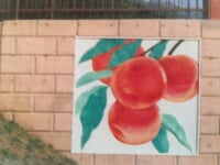 塩山ふれあいの森総合公園