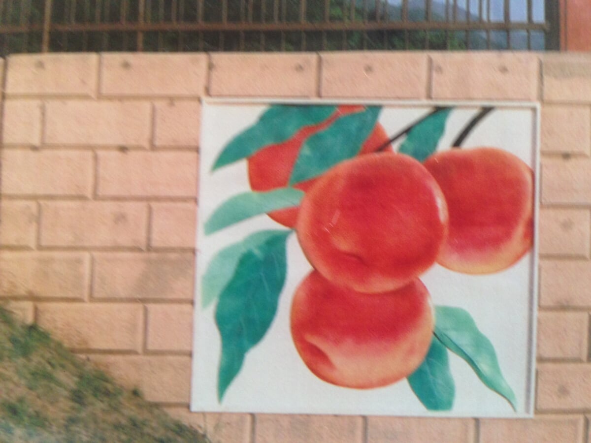 塩山ふれあいの森総合公園の写真1