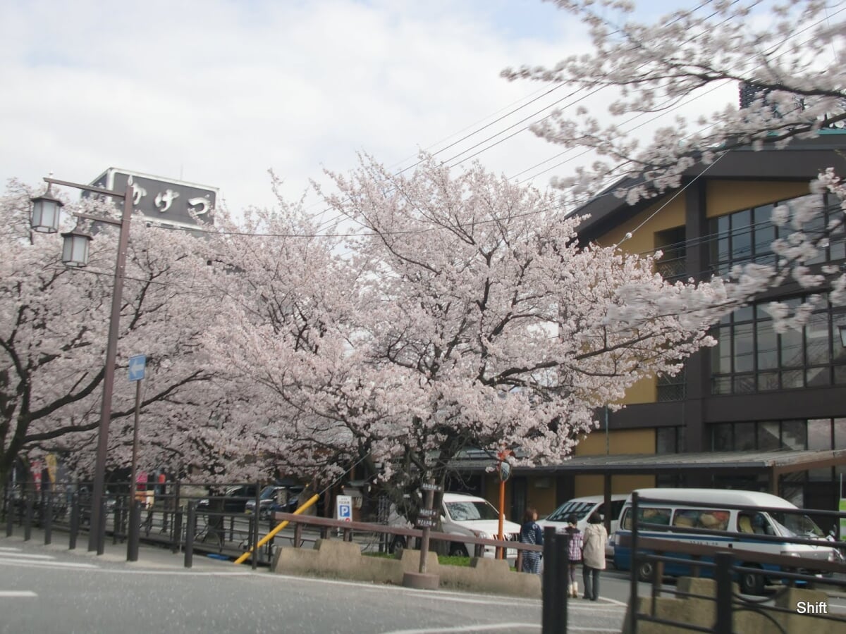 さくら温泉通りの写真1