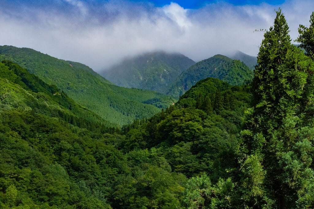 栗駒山の写真3