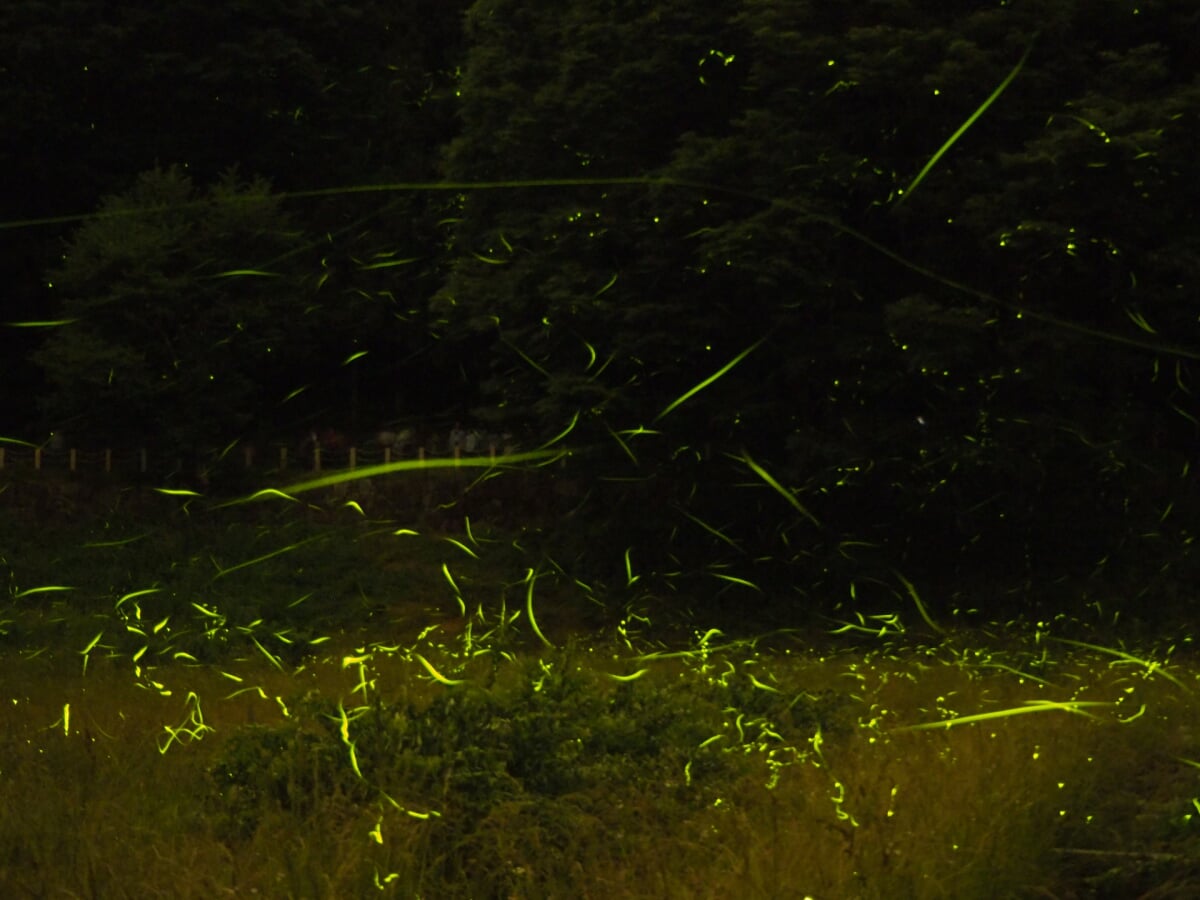 辰野ほたる童謡公園の写真2