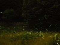 辰野ほたる童謡公園