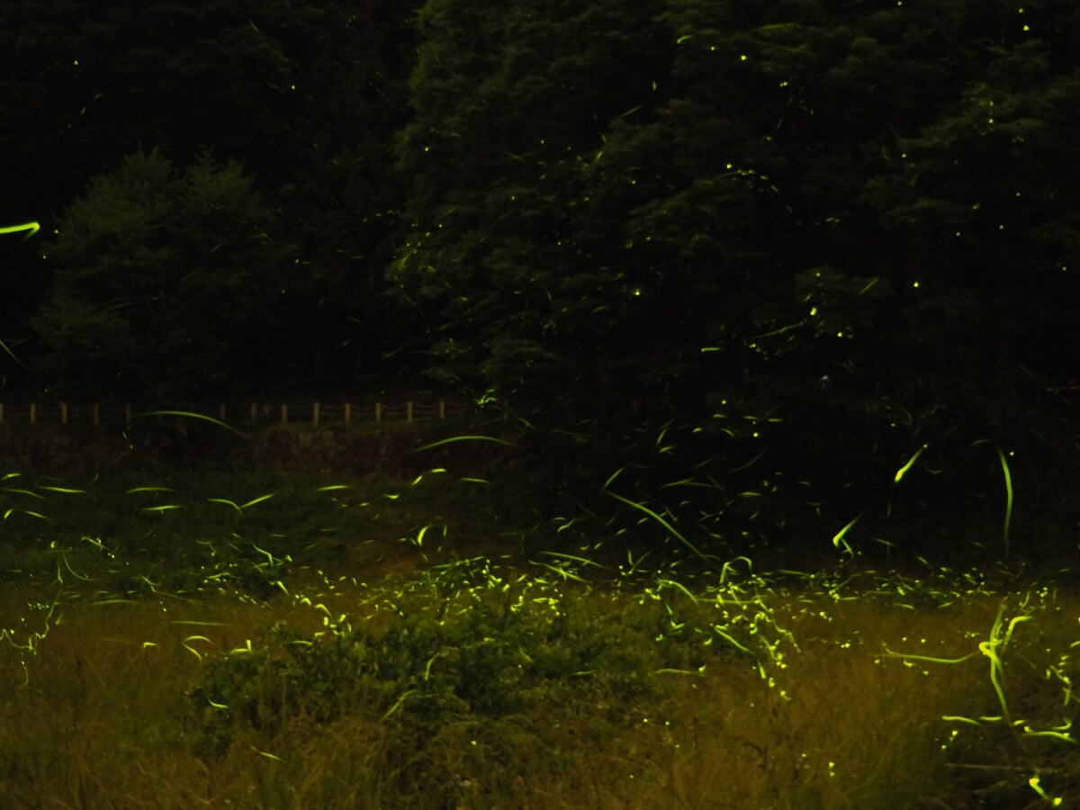 辰野ほたる童謡公園の写真1
