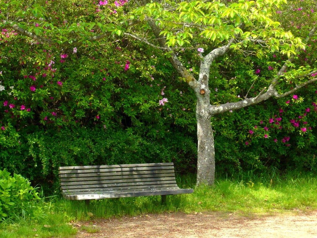 烏帽子形公園の写真3