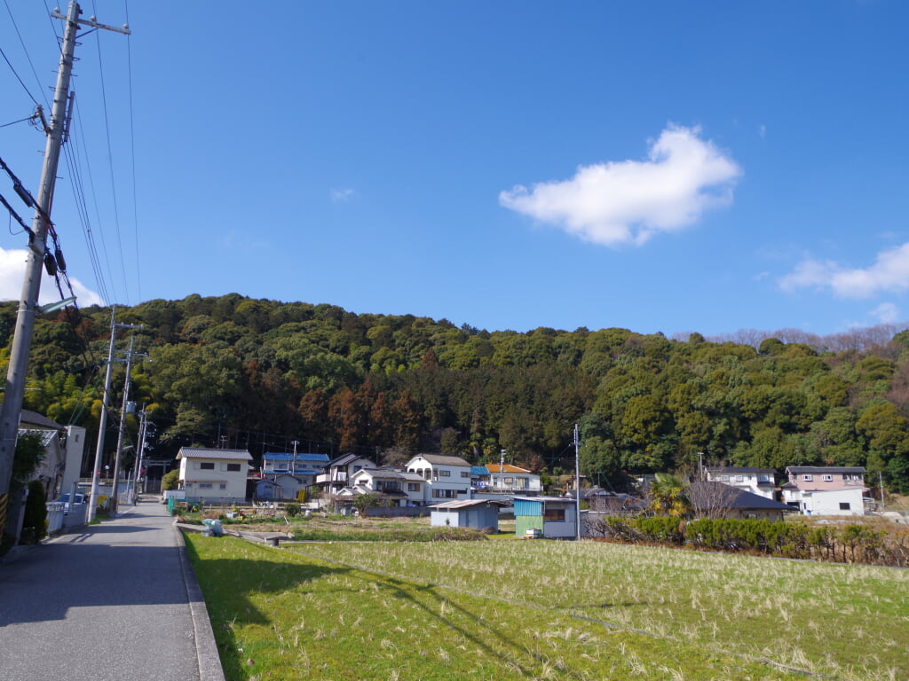 烏帽子形公園の写真6