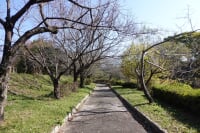 柳川瀬公園