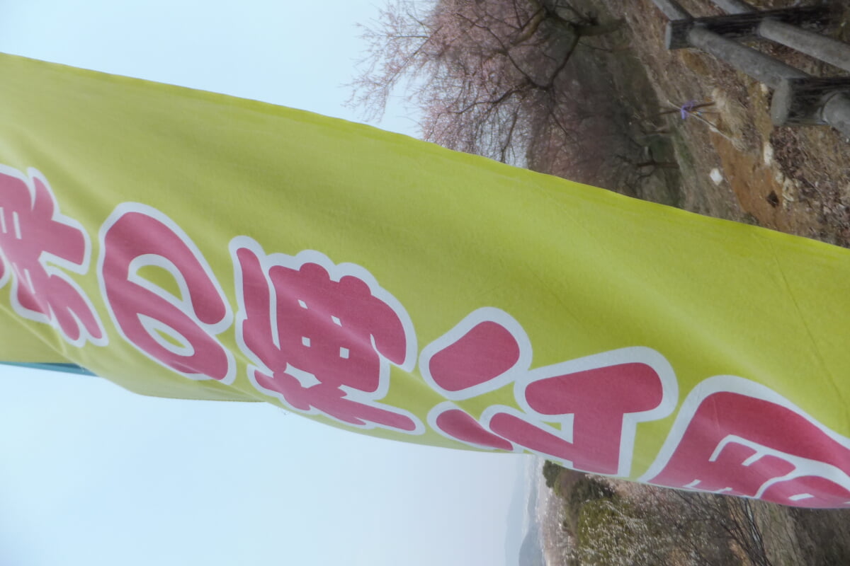 御津自然観察公園　世界の梅公園の写真9