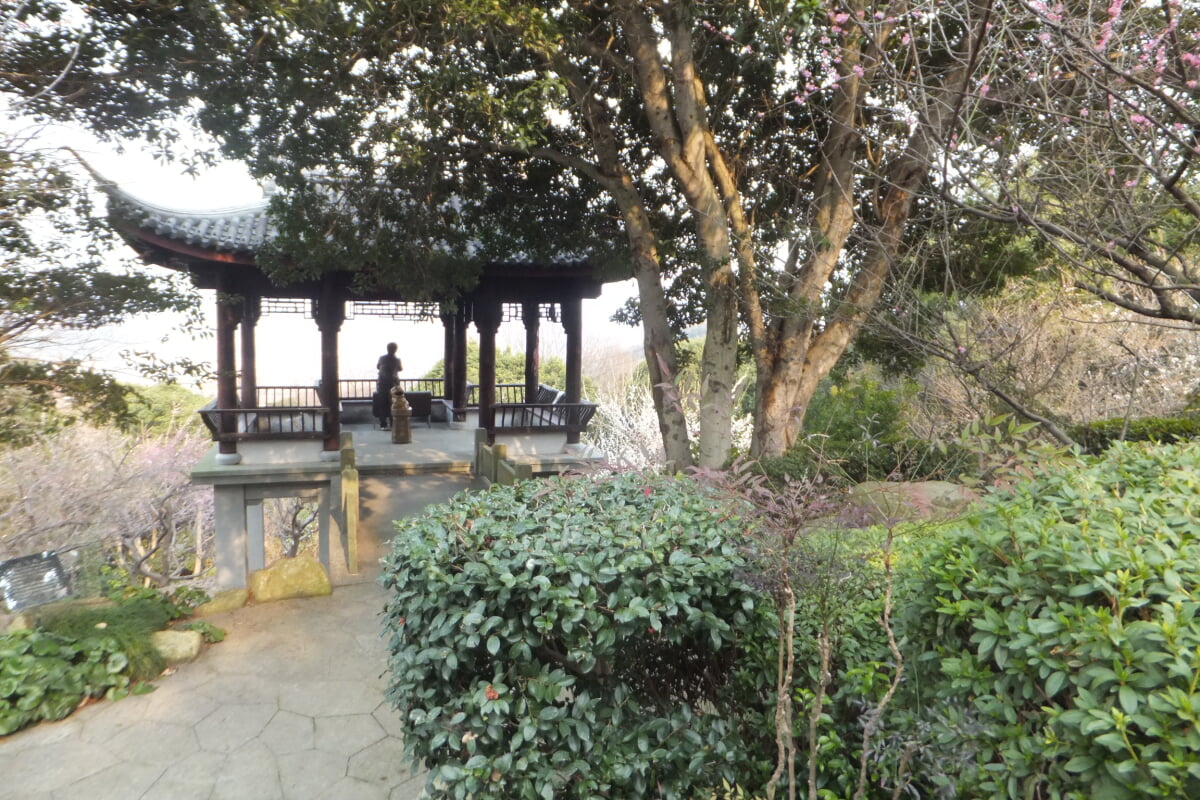 御津自然観察公園　世界の梅公園の写真14