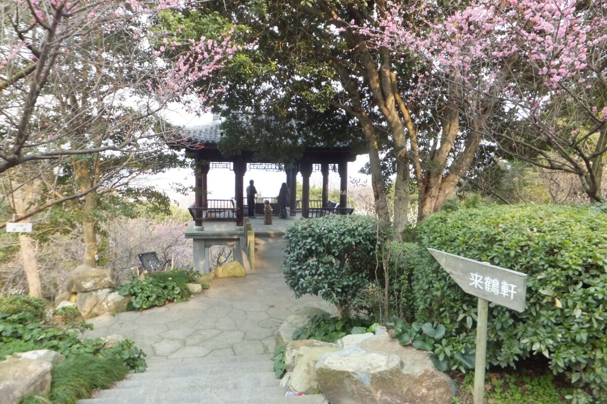 御津自然観察公園　世界の梅公園の写真22
