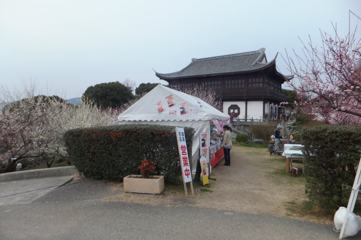 御津自然観察公園　世界の梅公園の写真31