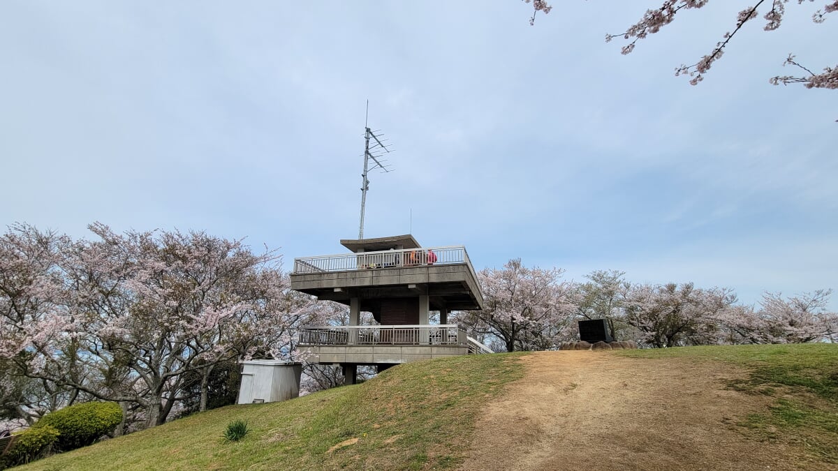 竜王山公園の写真1