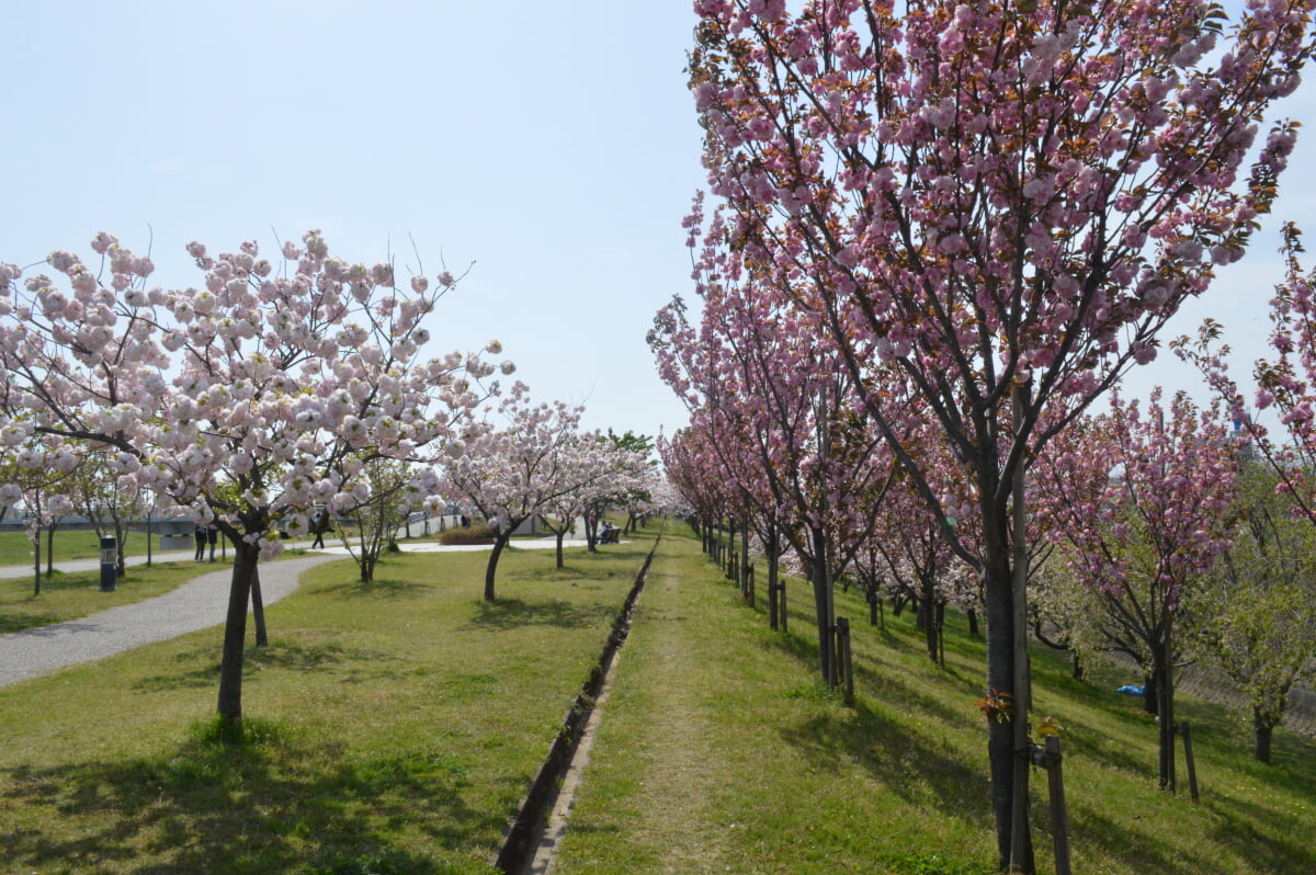 刈谷市総合運動公園の写真13