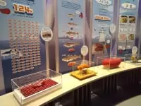 めんたいパーク とこなめ