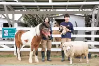 のじまスコーラ・のじま動物園
