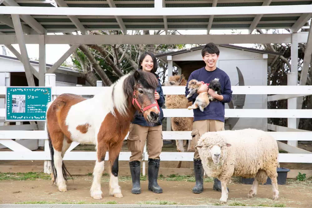 のじまスコーラ・のじま動物園の写真1