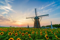 佐倉ふるさと広場