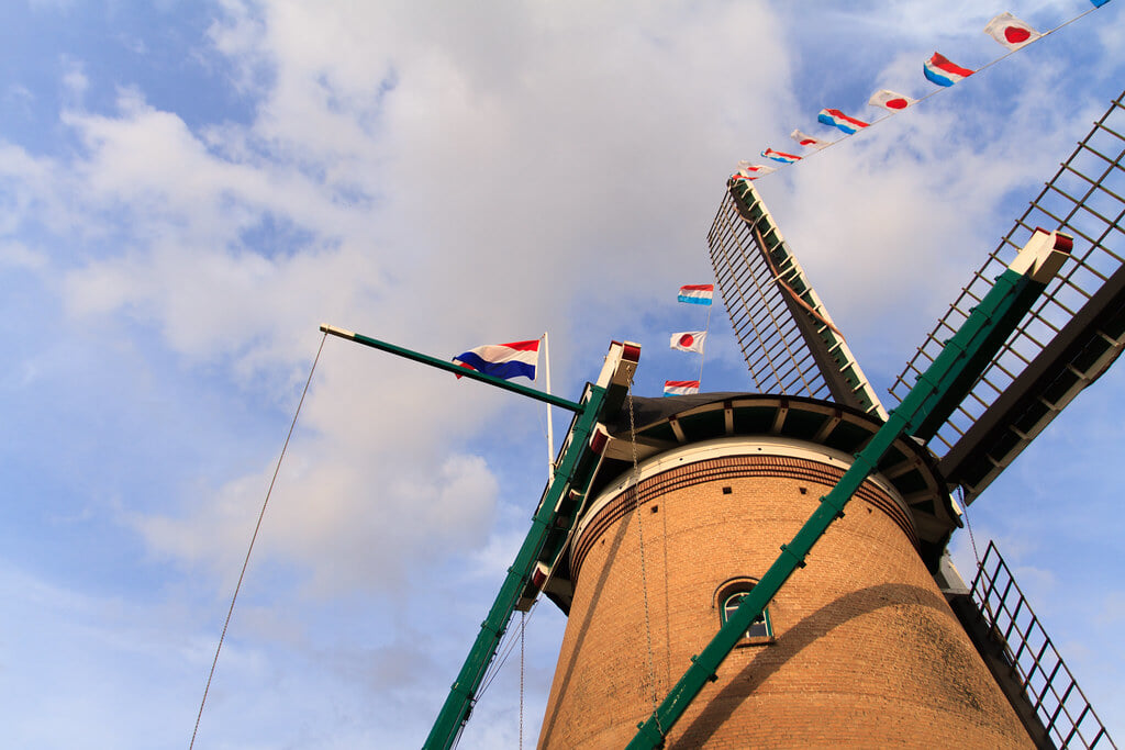 佐倉ふるさと広場の写真4