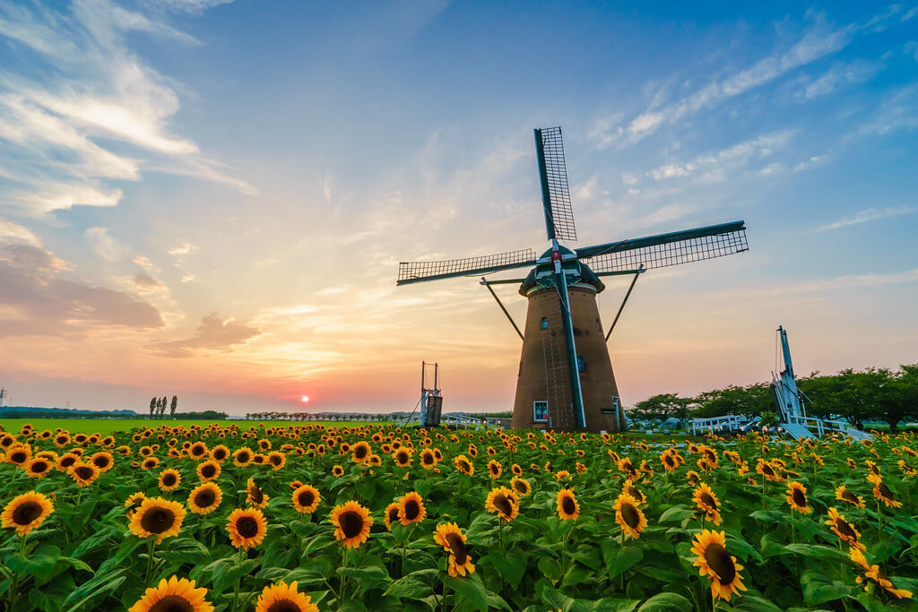 佐倉ふるさと広場の写真1