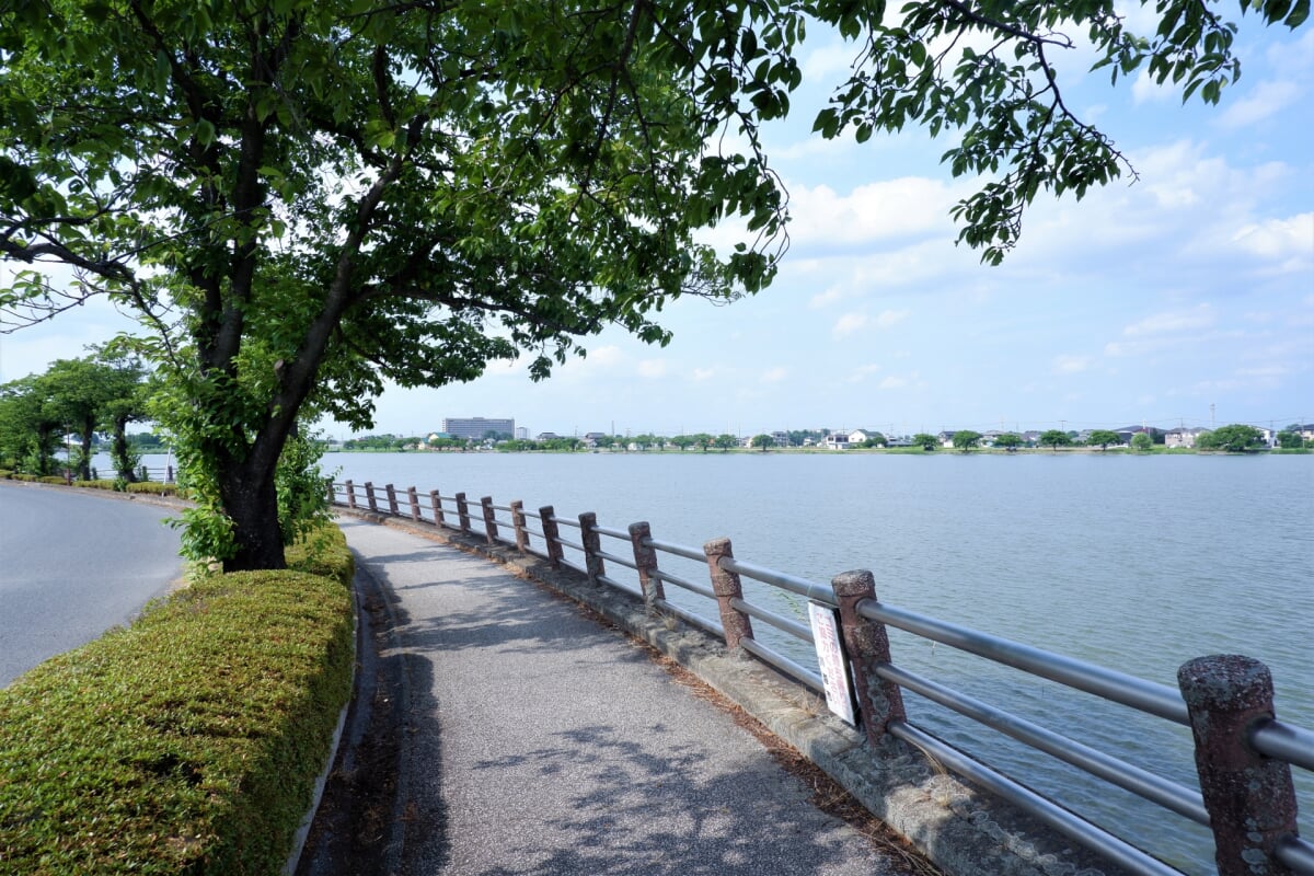 伊佐沼公園の写真2