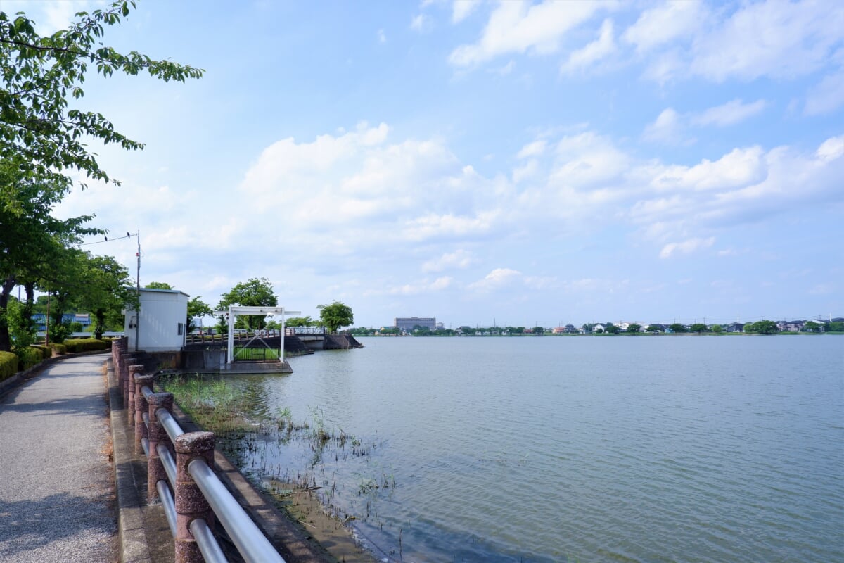 伊佐沼公園の写真3