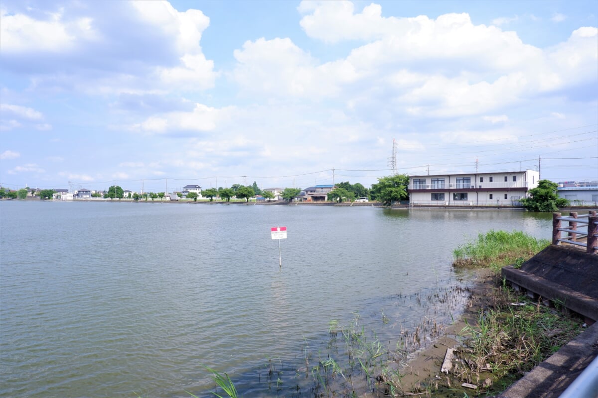 伊佐沼公園の写真4