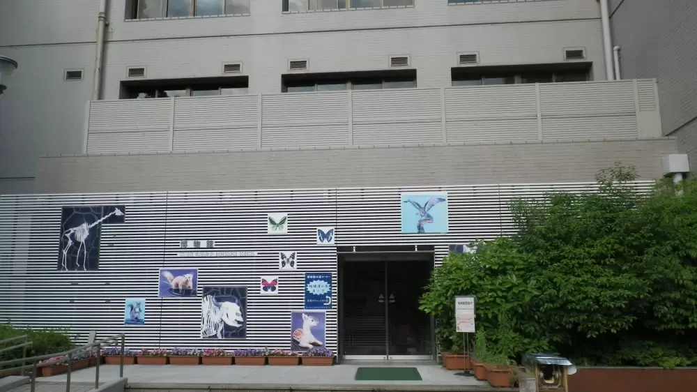 日本大学生物資源科学部博物館の写真1