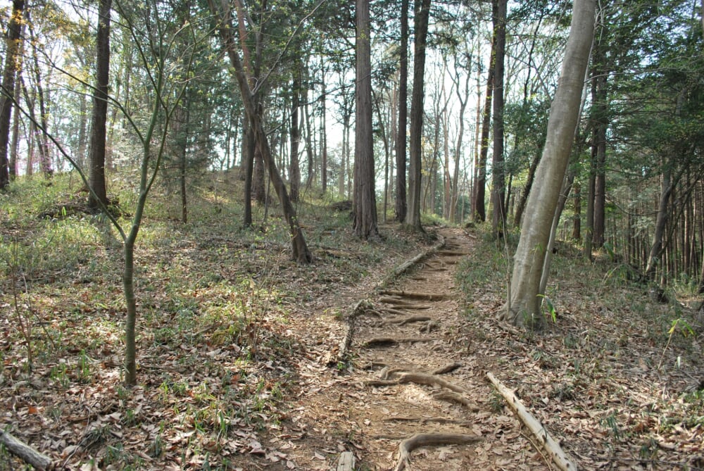 日和田山の写真1