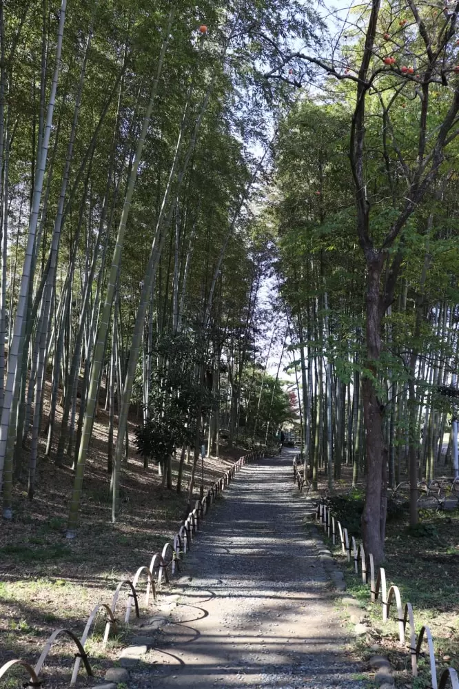 大磯城山公園の写真1