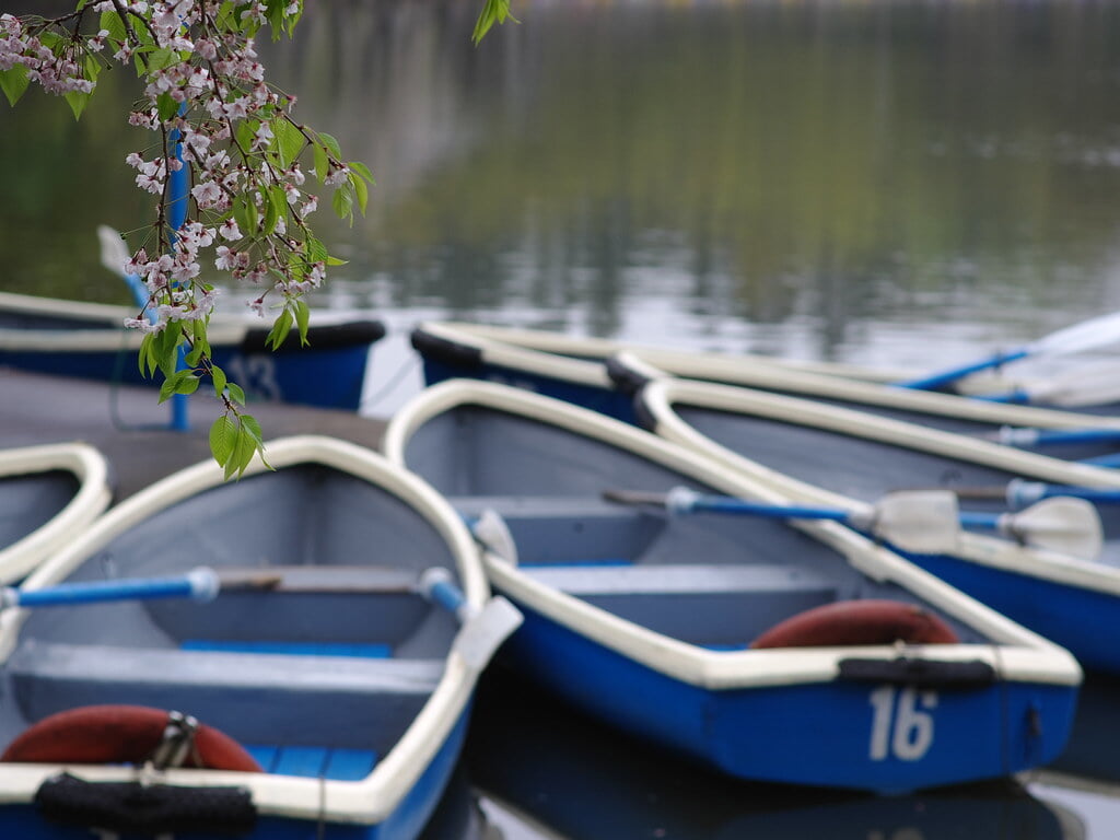 千葉公園の写真9