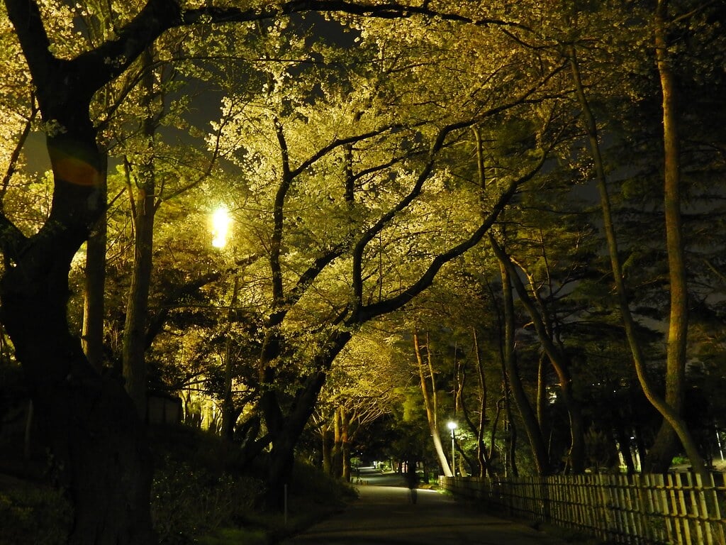 千葉公園の写真10