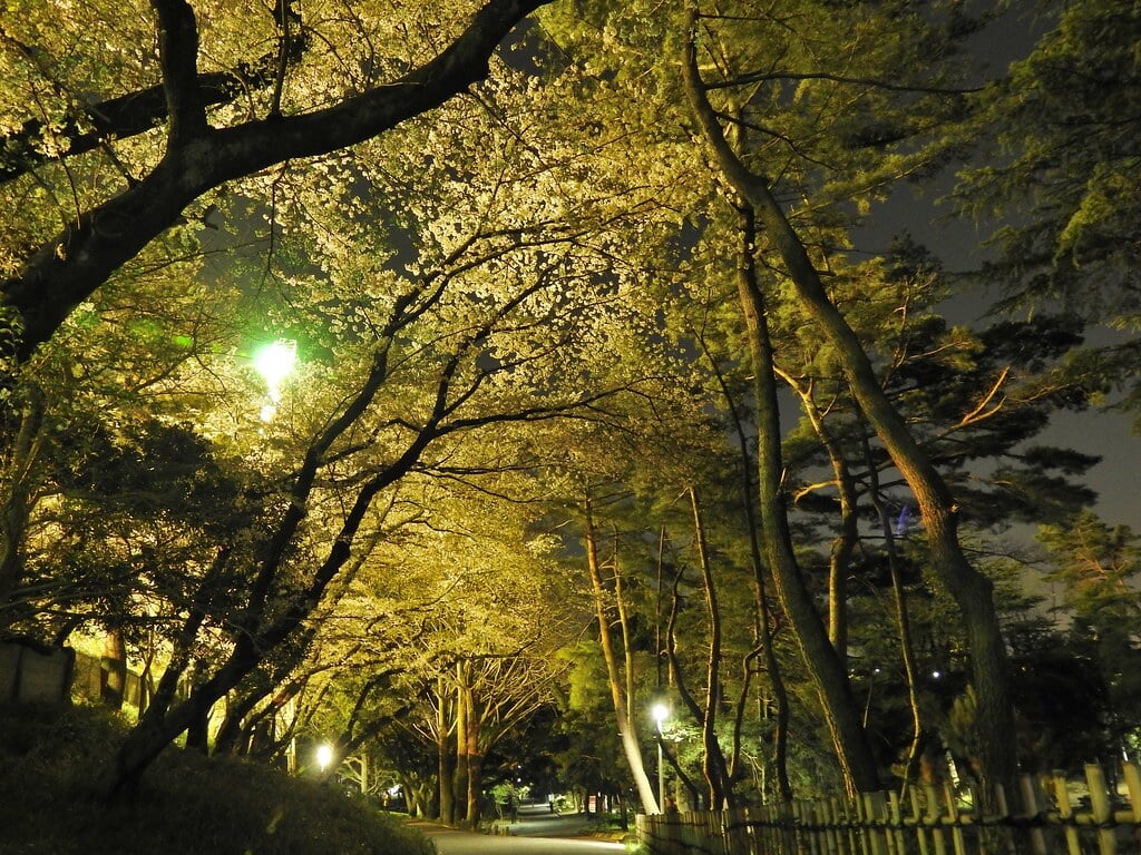 千葉公園の写真11