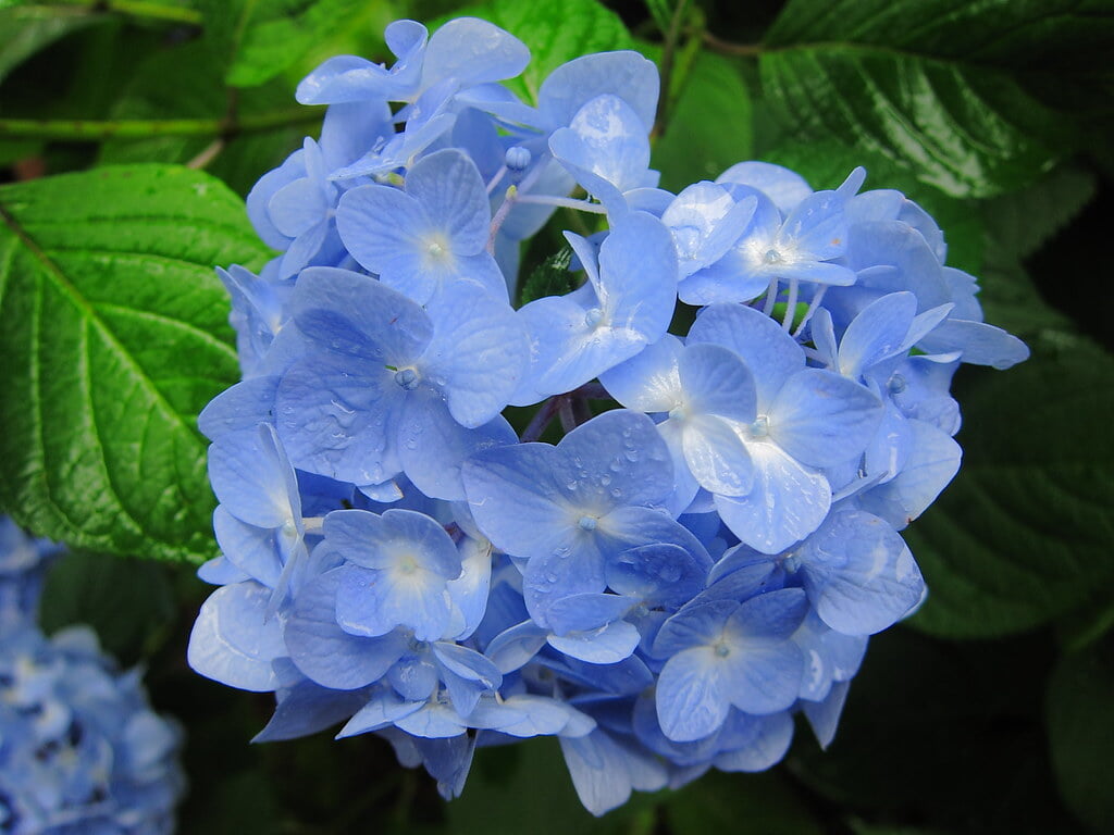 千葉公園の写真13