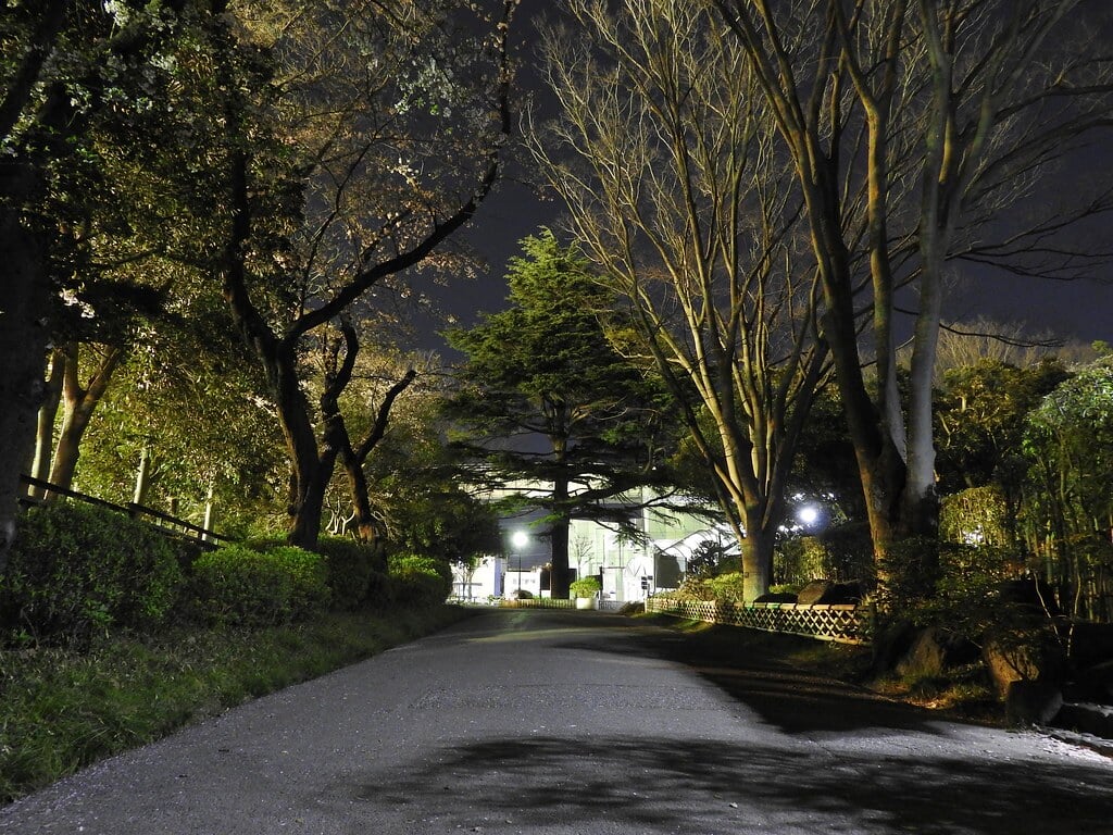 千葉公園の写真15