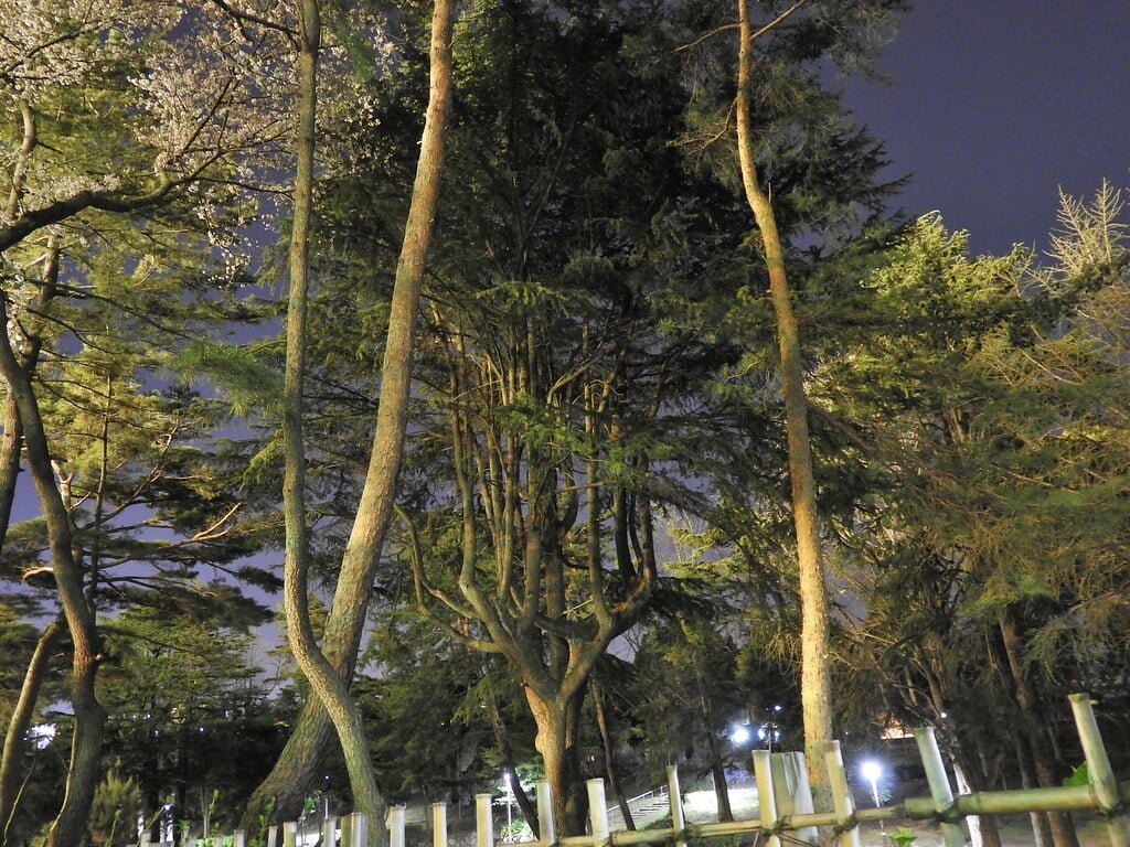 千葉公園の写真17