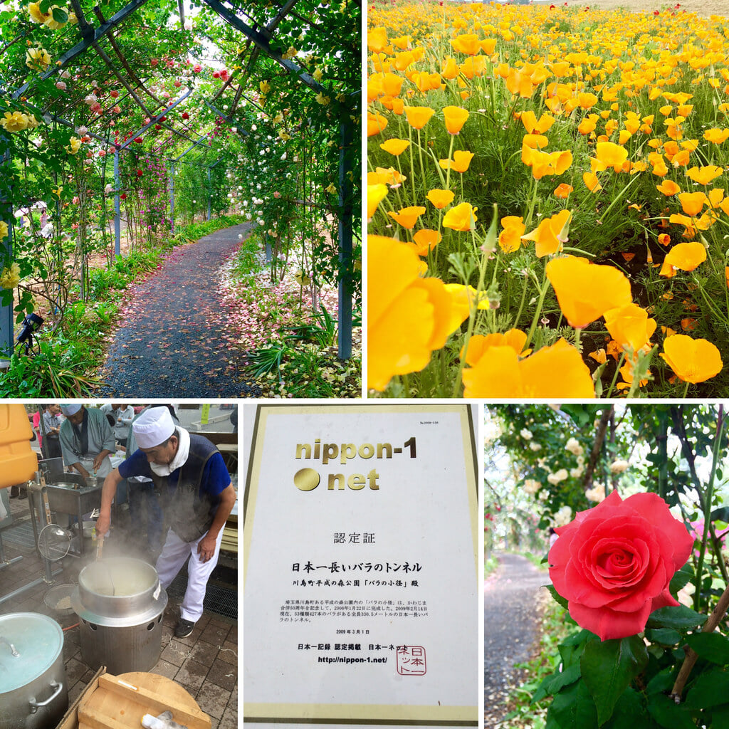 平成の森公園の写真1