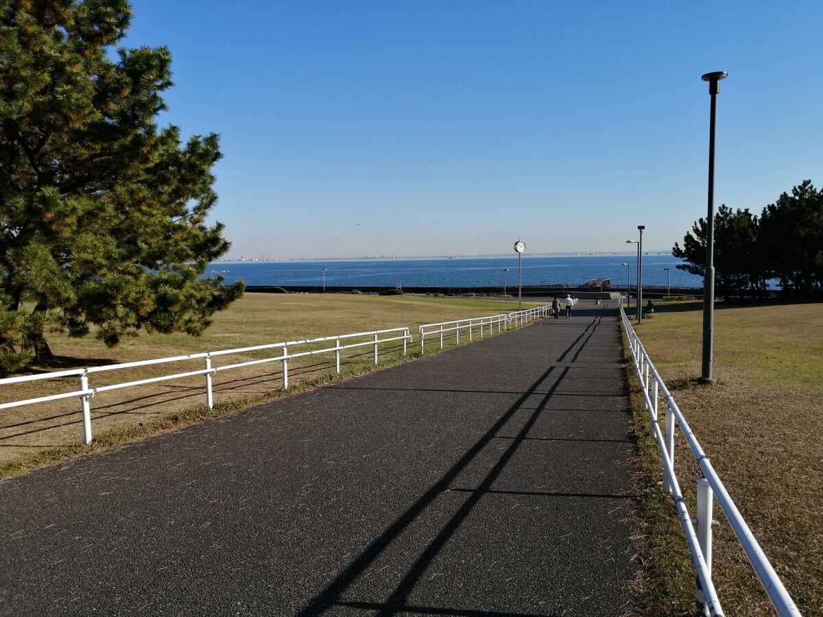 浦安市総合公園の写真2