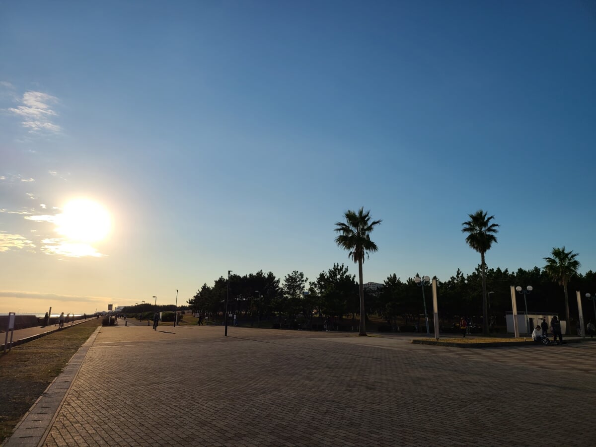 浦安市総合公園の写真3
