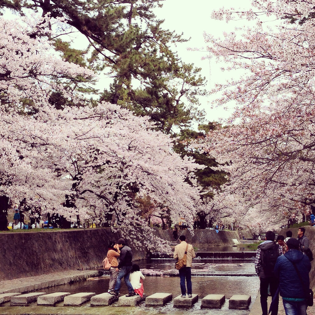 夙川公園の写真9