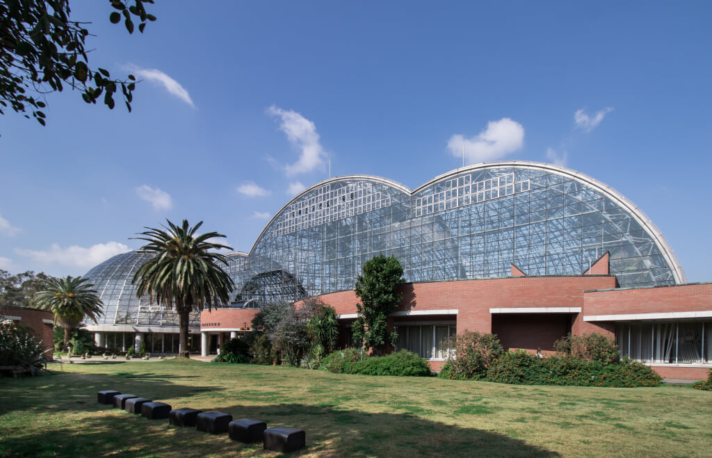 夢の島熱帯植物館の写真2