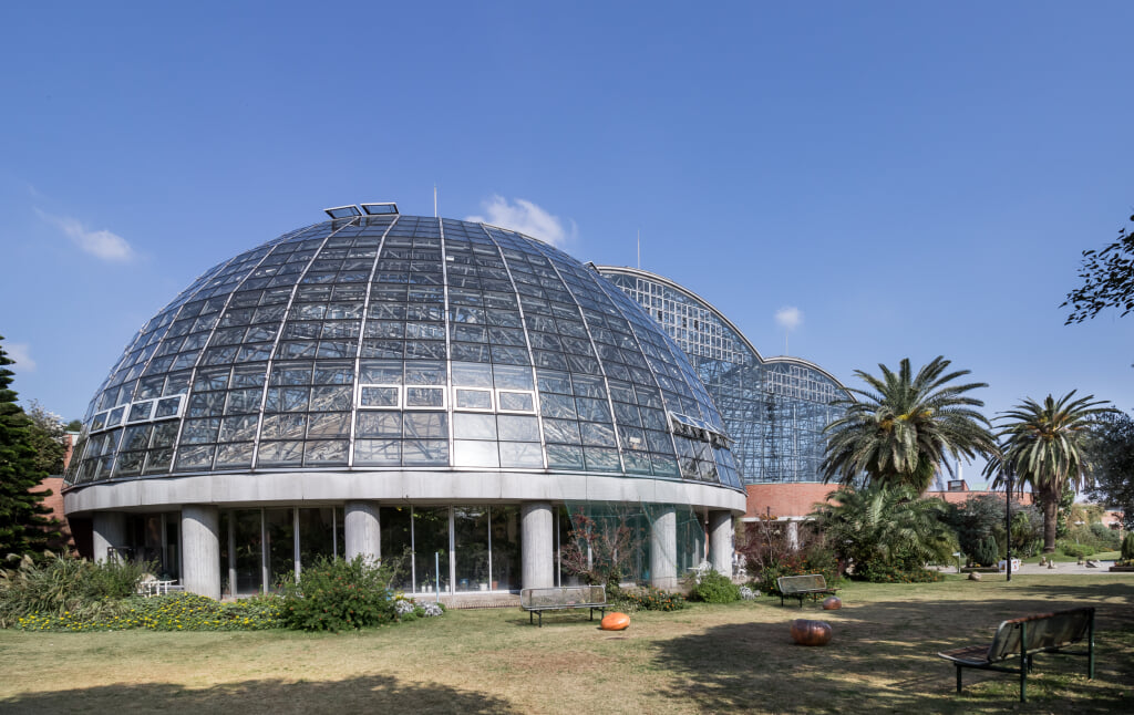 夢の島熱帯植物館の写真7