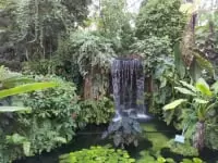 夢の島熱帯植物館